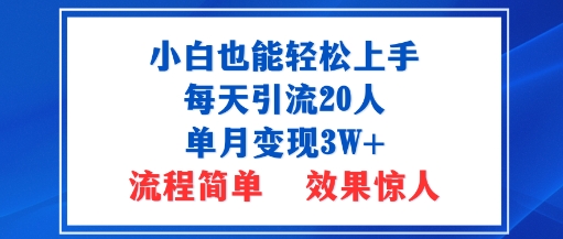 小白也能轻松上手的宝妈项目，每天引流20人，单月变现3W+，流程简单，效果惊人-网亿资源平台