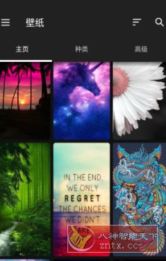 ZEDGE 铃声和壁纸v8.90.1高级版-网亿资源平台