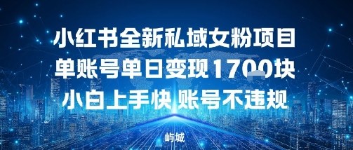 小红书全新私域女粉项目单账号单日变现多张，小白上手快账号不违规建议准备多账号操作-网亿资源平台