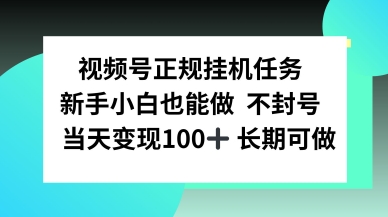 视频号正规挂播任务，有手就行不违规，轻松日入1张-网亿资源平台
