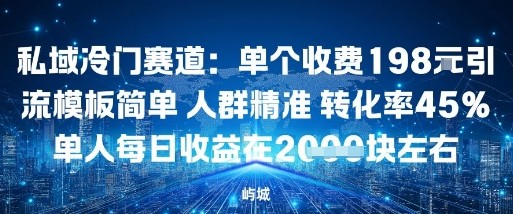 私域冷门赛道：单个收费198米引流模板简单人群精准转化率45%单人每日收益在1k+-网亿资源平台