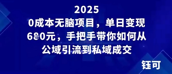 0成本无脑项目，单日变现多张，手把手带你如何从公域引流到私域成交-网亿资源平台