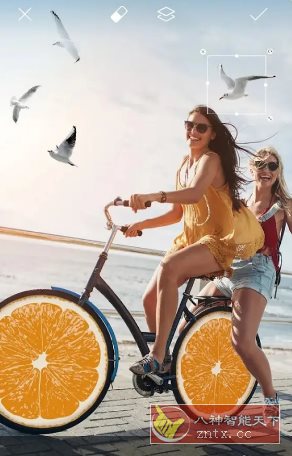 Picsart美易 v28.4.5 高级版-网亿资源平台