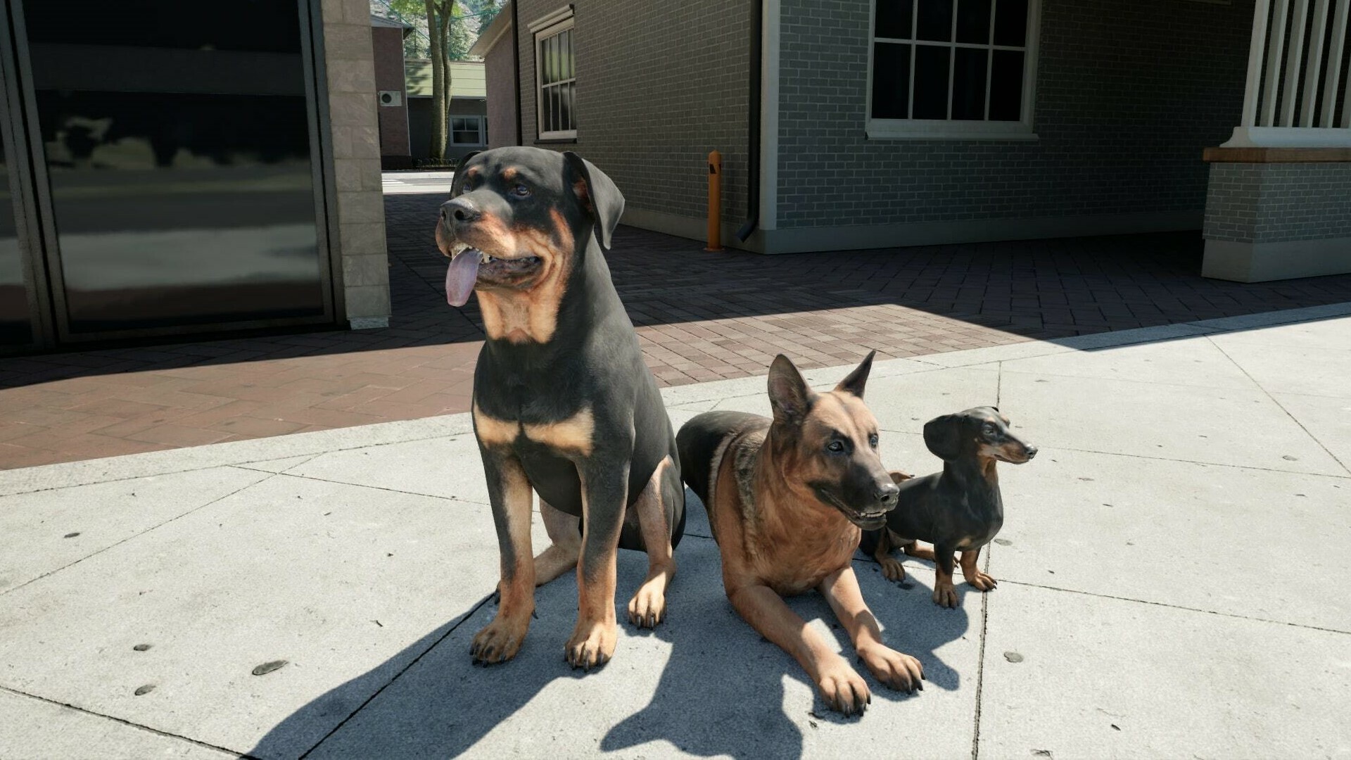 1615168869420538.jpg 6.jpg