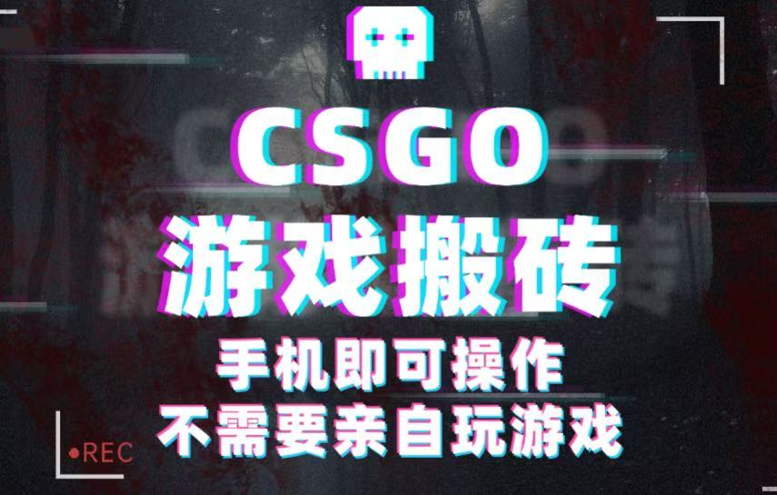 CSGO游戏挂机捡漏，单日扫货500+，年底小高峰上车可吃肉，手机即可操作兼职副业-网亿资源平台