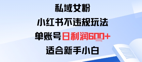 私域女粉：小红书平台不违规玩法单账号日利润6张+适合新手小白-网亿资源平台