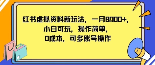 小红书虚拟资料新玩法，一月8k+小白可玩，操作简单-网亿资源平台