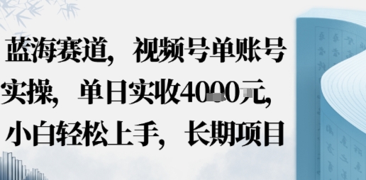 蓝海赛道，视频号单账号实操，单日实收1k，小白轻松上手，长期项目-网亿资源平台