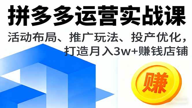 （16135期）拼多多运营实战课，活动布局、推广玩法、投产优化，打造月入3w+赚钱店铺-网亿资源平台