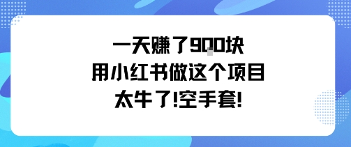 一天挣了9张用小红书做这个项目太牛了，空手套-网亿资源平台
