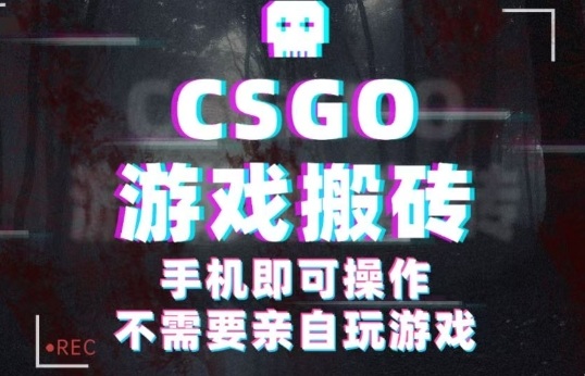 CSGO游戏挂G捡漏，单日扫货5张+，年底小高峰上车可吃肉，手机即可操作，兼职副业创业网创【揭秘】-邪修侠 - 演示