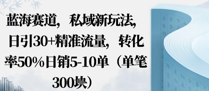 蓝海赛道，私域新玩法，日引30+精准流量，转化率50%日销5-10单（单笔3张）-网亿资源平台