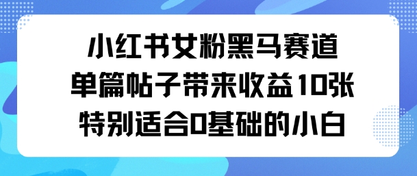 小红书女粉黑马赛道单篇帖子带来收益10张特别适合0基础的小白-网亿资源平台