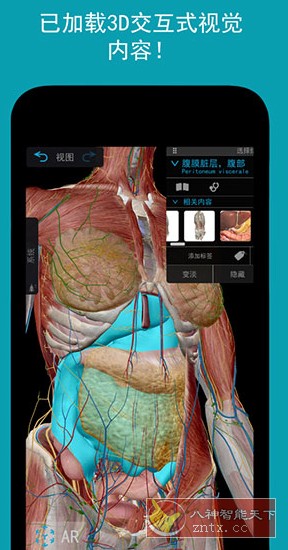 Human Anatomy Atlas 2026 人体解剖学图谱v2026.00.019高级版-网亿资源平台