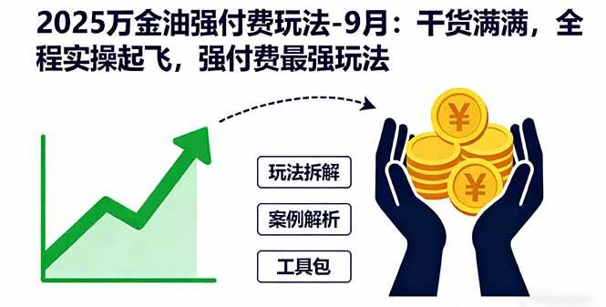 （16202期）2025万金油强付费玩法-9月：干货满满，全程实操起飞，强付费最强玩法-网亿资源平台