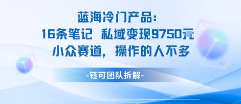 蓝海项目：16条笔记私域变现9750米小众赛道操作的人不多-网亿资源平台