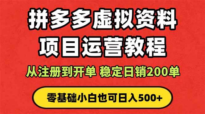 （16220期）拼多多开店运营课程： 蓝海变现玩法，轻松实现睡后收入 零基础小白也可…-网亿资源平台