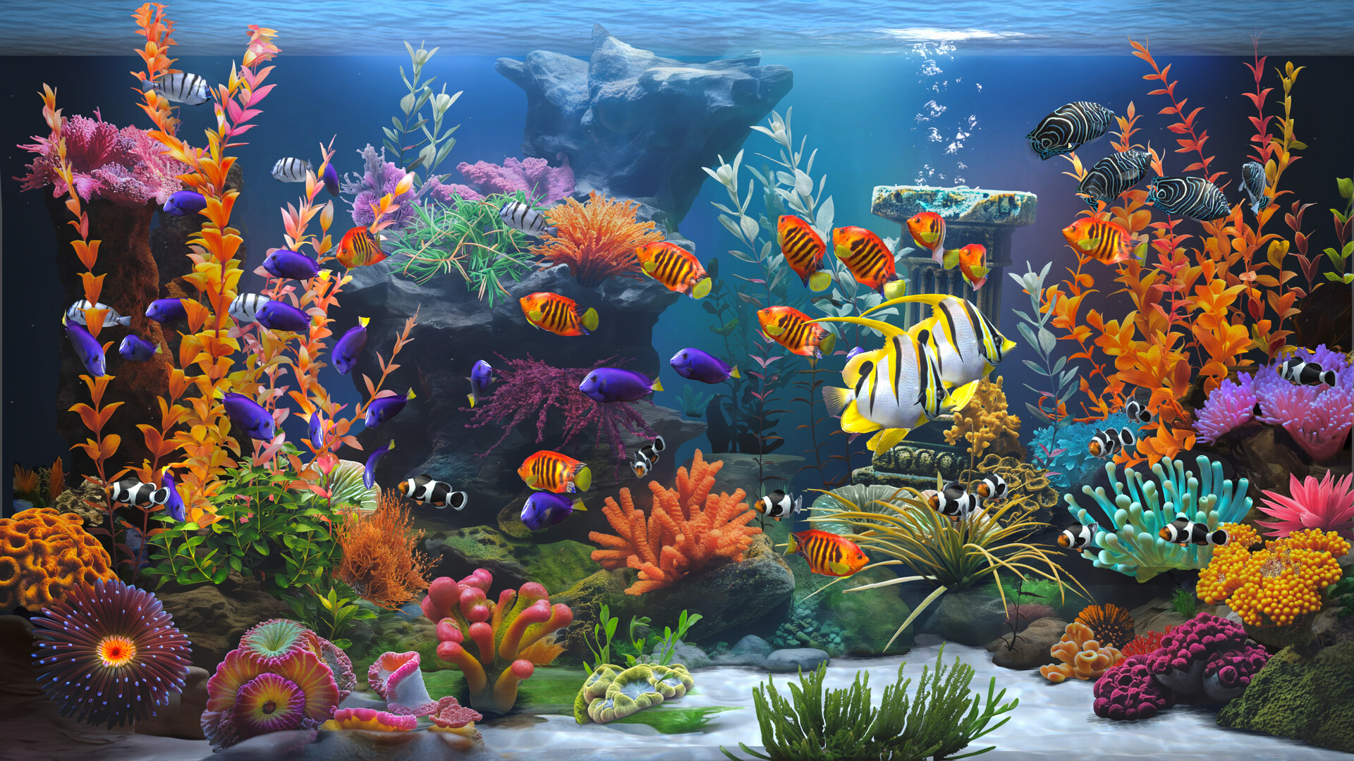 禅意水族馆/Zen Aquarium-网亿资源平台