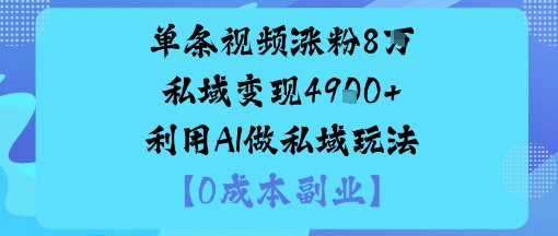 单条视频涨粉8W私域变现1k+利用AI做私域玩法-网亿资源平台