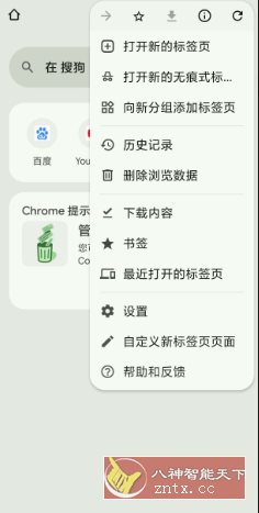 谷歌浏览器 Google Chrome v141.0.7390.70-网亿资源平台