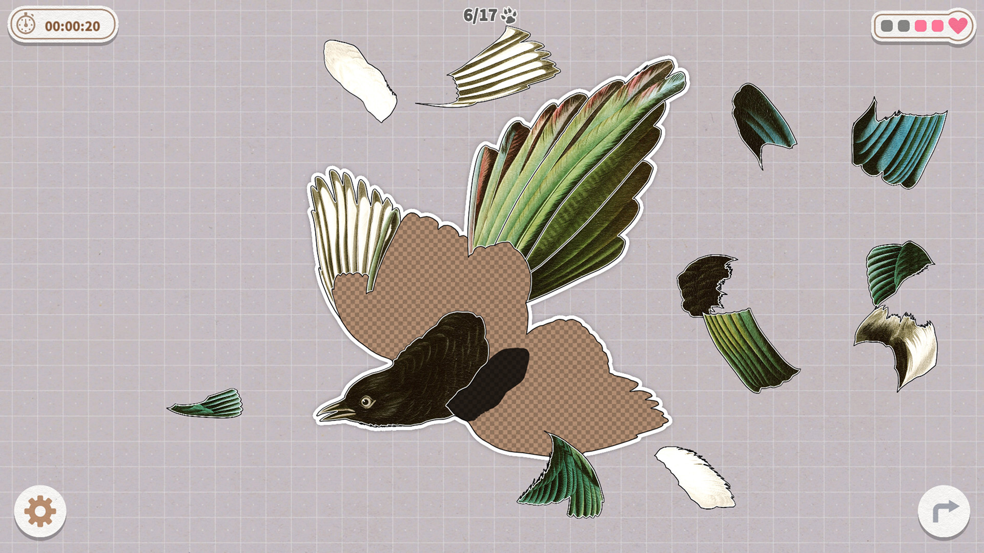 挤在一起的鸟鸟/Birds Huddled Together-网亿资源平台