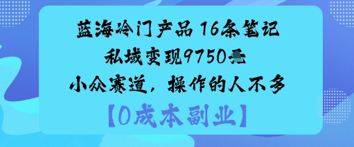 蓝海冷门产品：16条笔记私域变现9750米小众赛道，操作的人不多-邪修侠 - 演示