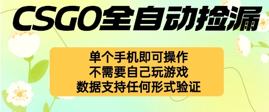 自动挂G捡漏，不用自己挂G不用玩游戏，一个手机即可操作，新手小白轻松月入1W+【揭秘】-邪修侠 - 演示
