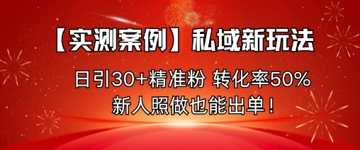 【实测案例】私域新玩法，日引30+精准粉，转化率50%，新人照做也能出单！-邪修侠 - 演示