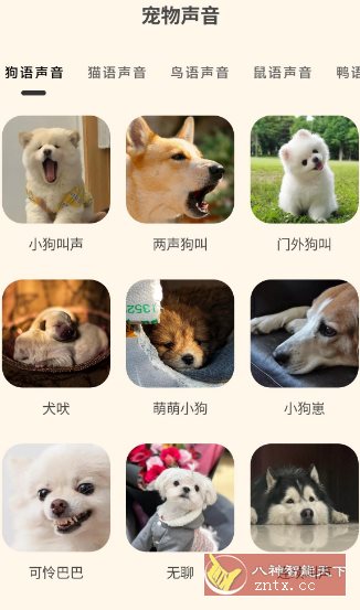 哆啦猫狗翻译器1.2.6高级版-网亿资源平台