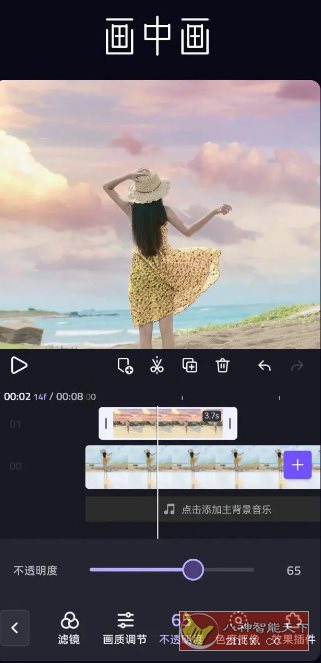 VivaCut视频编辑 v4.3.9专业版-网亿资源平台