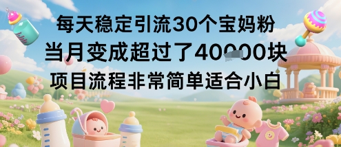 每天稳定引流30个宝妈粉当月变成超过了1W+项目流程非常简单适合小白-邪修侠 - 演示