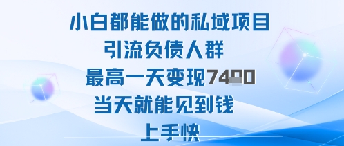2025年小白都能做的私域项目引流负债人群最高一天变现1k+高变现难度低当天就能见到钱上手快-网亿资源平台
