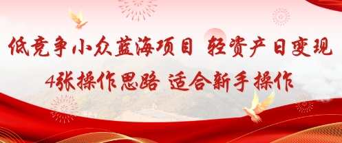 低竞争小众蓝海项目，轻资产日变现4张的操作思路适合新手操作-网亿资源平台