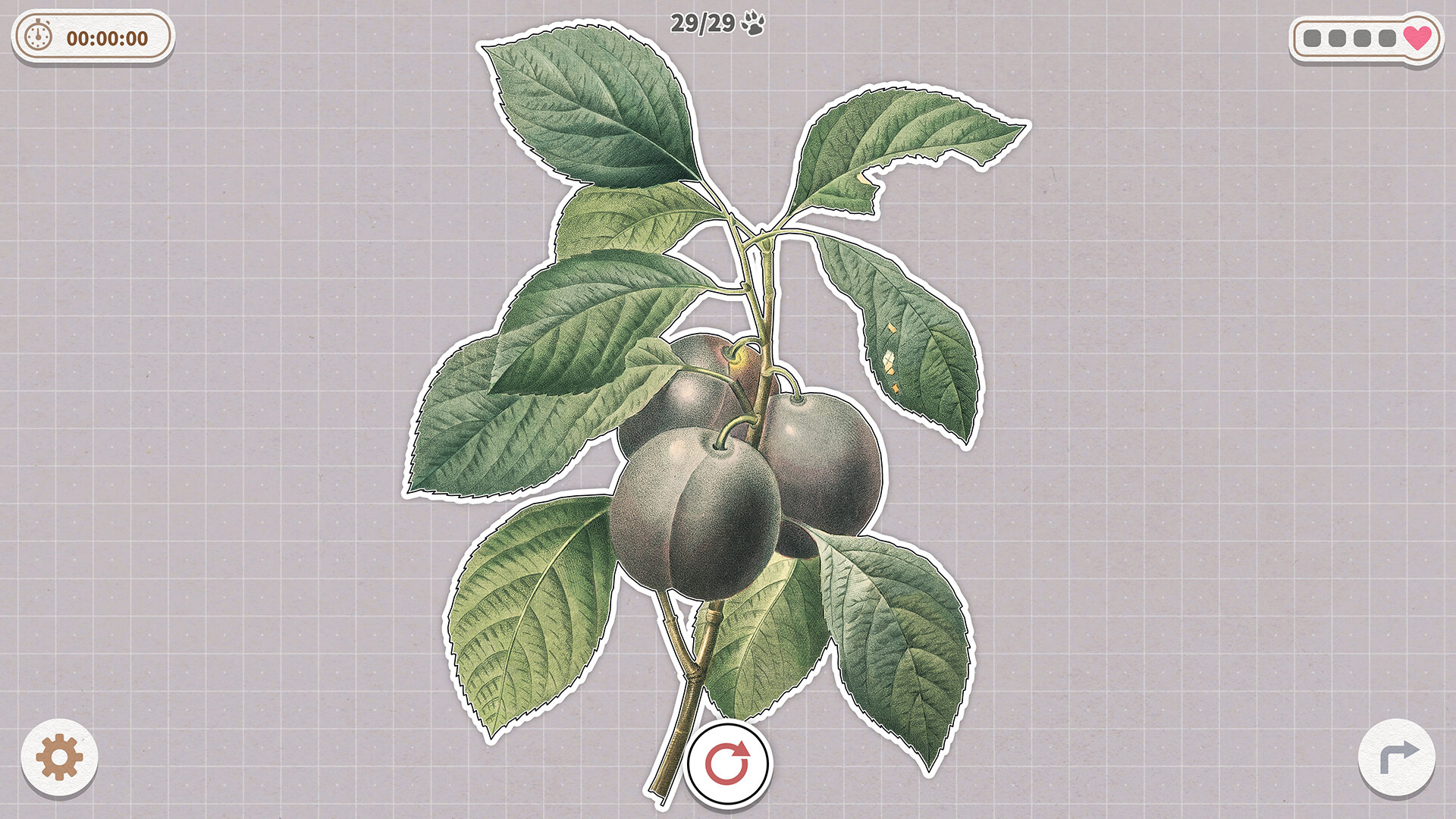 挤在一起的植物/Plants Huddled Together-网亿资源平台