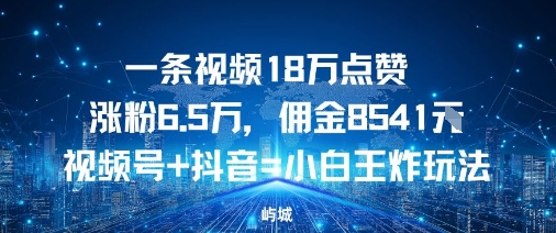 一条视频18W点赞涨粉6.5W，佣金8541视频号+抖音=小白王炸玩法-网亿资源平台