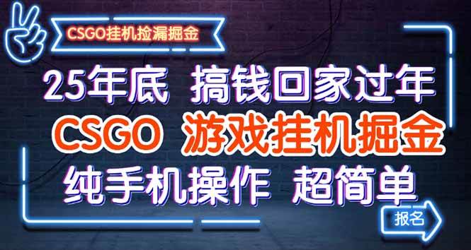 （16343期）25年底搞钱回家过年，CSGO游戏挂机掘金，纯手机操作超简单-网亿资源平台