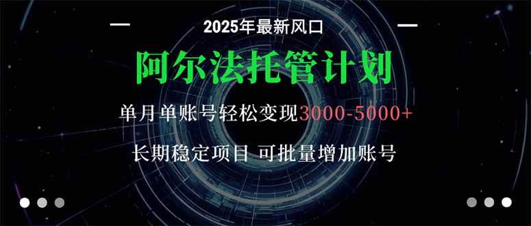 （16360期）阿尔法托管计划 单账号月入3000-5000，长期稳定项目，新手小白轻松上手。-网亿资源平台