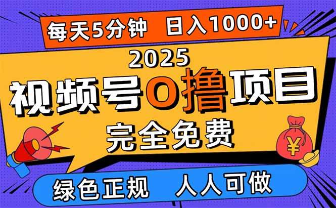 （16388期）2025视频号0撸项目，5分钟一个号，日入1000+，人人可做-网亿资源平台