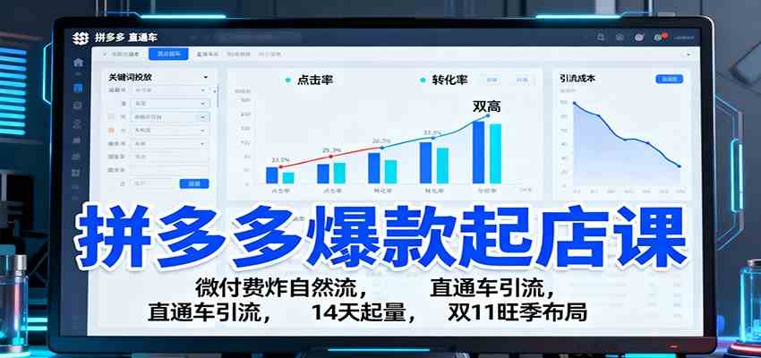 拼多多爆款起店课：微付费炸自然流，直通车引流，14天起量，双11旺季布局-网亿资源平台