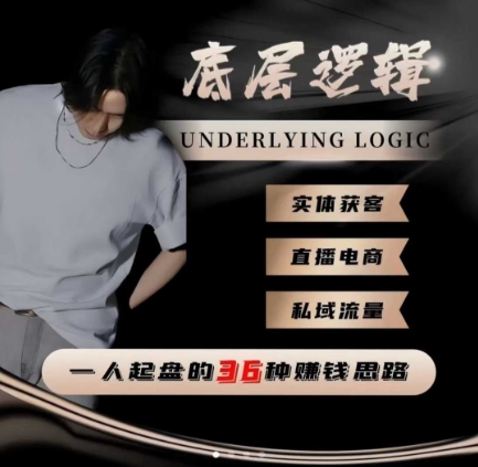 一个人起盘的底层逻辑,私域流量-直播电商-实体获客,一人起盘的36种賺钱思路-邪修侠 - 演示