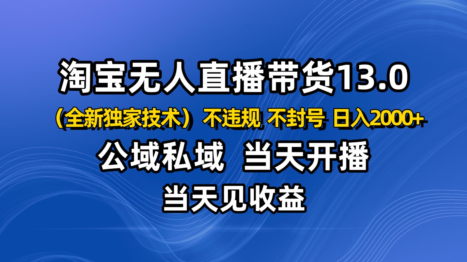 淘宝无人直播13.0，公域私域技术，不封号，不违规 布局下半年旺季赛道，日入2000+-邪修侠 - 演示