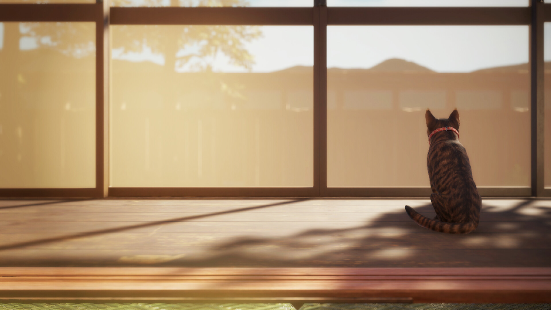 猫还在逃吗？/Still It Runs-网亿资源平台