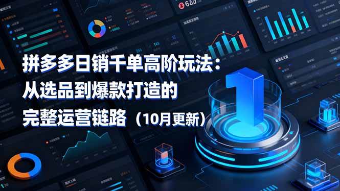 （16404期）拼多多日销千单高阶玩法：从选品到爆款打造的完整运营链路（10月更新）-网亿资源平台