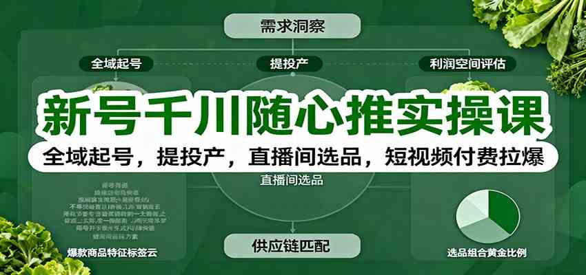 新号千川随心推实操课：全域起号，提投产，直播间选品，短视频付费拉爆-网亿资源平台