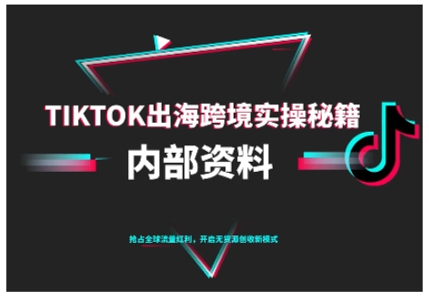 TikTok跨境电商0-1搭建运营，TK出海跨境实操秘籍（10月更新）-邪修侠 - 演示
