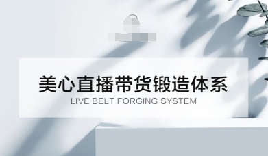 直播带货锻造体系课，5G时代美心一站式帮你开启直播带货之路【音频】-网亿资源平台