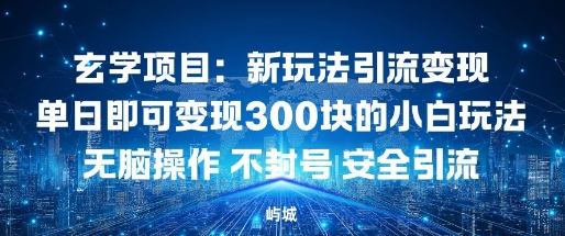 玄学项目：新玩法引流变现单日即可变现3张的小白玩法无脑操作不封号安全引流-网亿资源平台