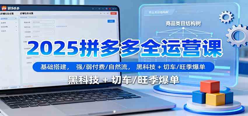 2025拼多多全运营课：基础搭建，强/弱付费/自然流，黑科技 + 切车/旺季爆单-网亿资源平台