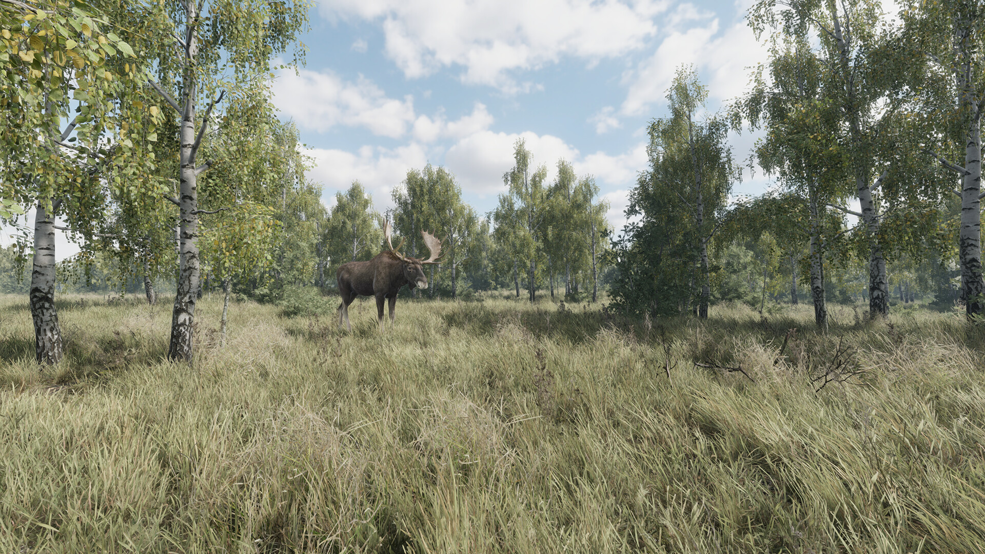 猎捕行动/On the Hunt-网亿资源平台