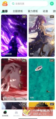 飞火动态壁纸v2.2.11高级版-网亿资源平台